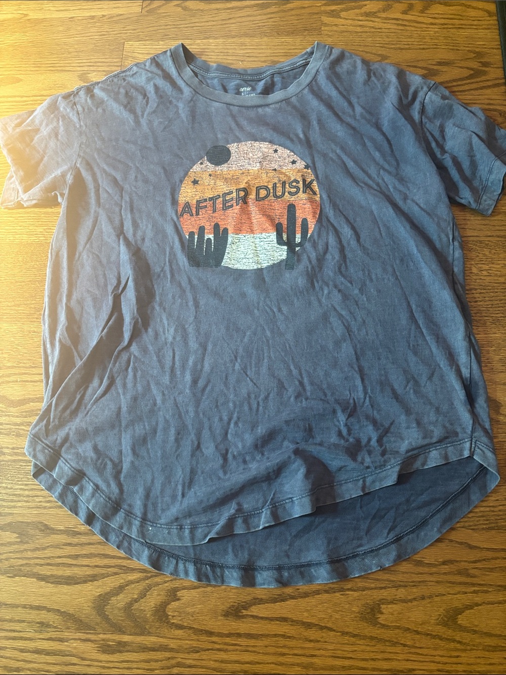 aerie After Dusk Graphic Tee - Blue